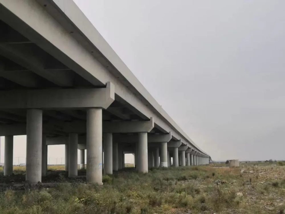 點(diǎn)贊！浙江省科學(xué)技術(shù)進(jìn)步獎(jiǎng)二等獎(jiǎng)花落公路工程建筑領(lǐng)域