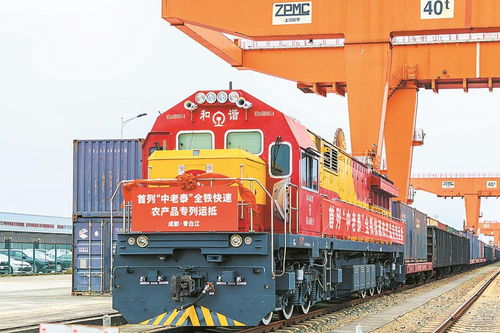 首列中老泰全鐵快速農產品專列抵蓉，國際物流新動脈全面打通